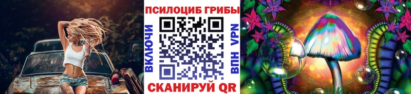 Псилоцибиновые грибы мицелий  дарнет шоп  маркетплейс Telegram  Пикалёво  мега ссылка 